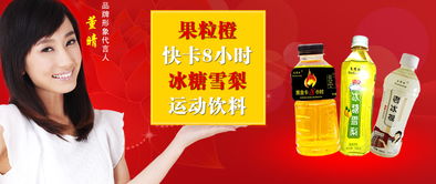 王先生代理意向 石家莊市三得利食品飲料廠邯鄲市場(chǎng)拓展合作展望