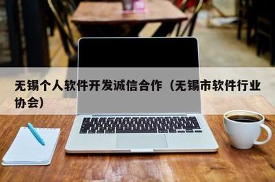 無錫個人軟件開發(fā)誠信合作 軟件外包服務保障