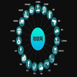 物流與軟件外包服務 現(xiàn)代企業(yè)效率的雙翼